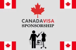 Professionals: Opportunities for Visa Sponsorship in Canada